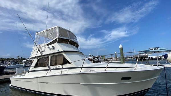 Viking 35