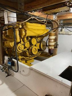 Henriques 44-SPORTFISHERMAN image