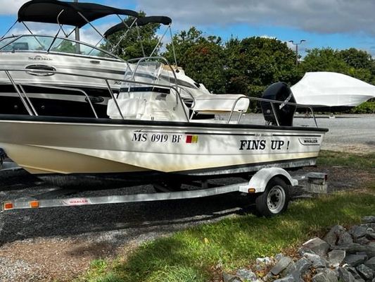 Boston Whaler 150 Montauk - main image