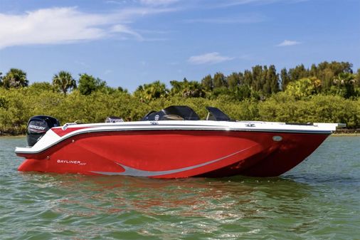 Bayliner ELEMENT-M19 image