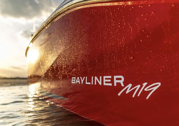 Bayliner ELEMENT-M19 image