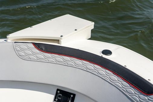 Bayliner ELEMENT-M19 image