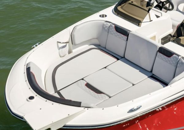 Bayliner ELEMENT-M19 image