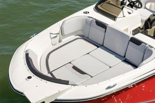 Bayliner ELEMENT-M19 image