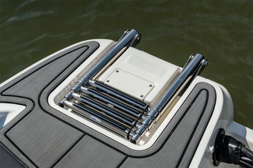 Bayliner ELEMENT-M19 image