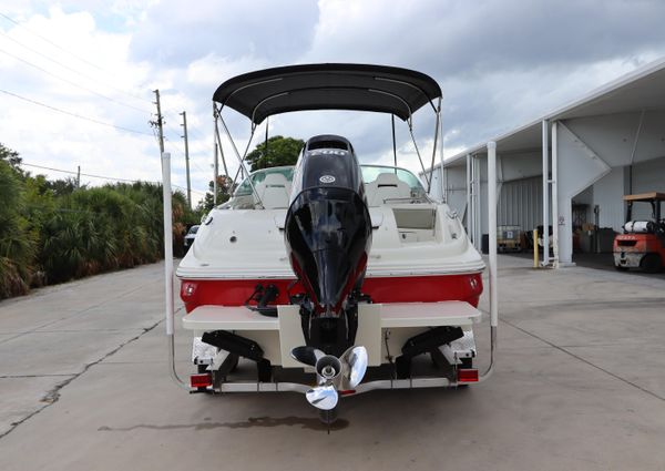 Sea Ray 240 Sundeck image