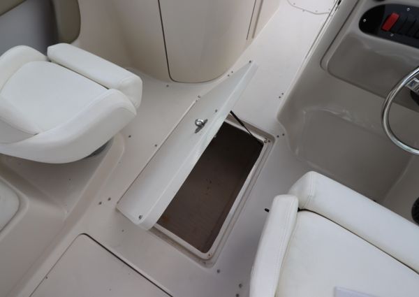 Sea Ray 240 Sundeck image