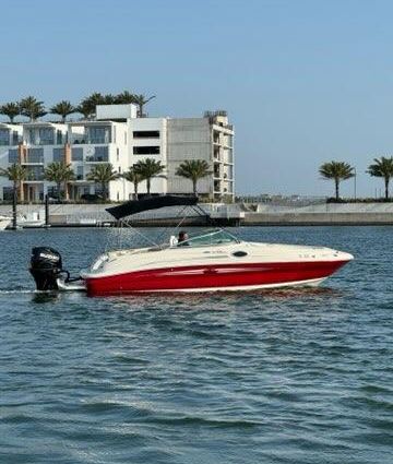 Sea Ray 240 Sundeck image