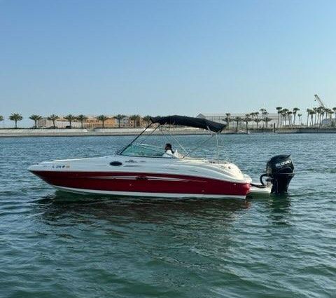 Sea Ray 240 Sundeck image