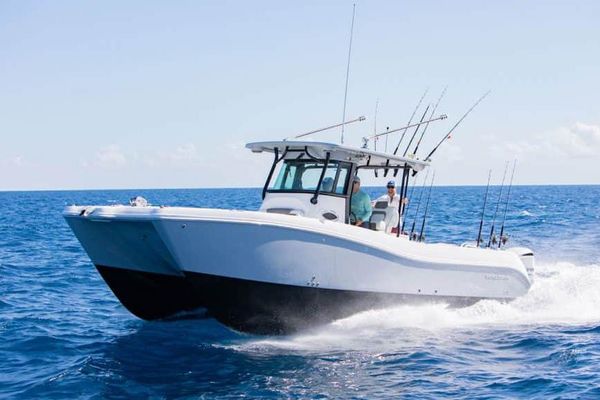 World Cat 325 CC - main image