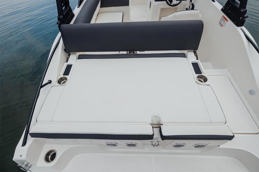 Bayliner D20I image