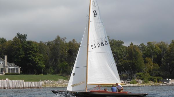 Dragon 29 Daysailer