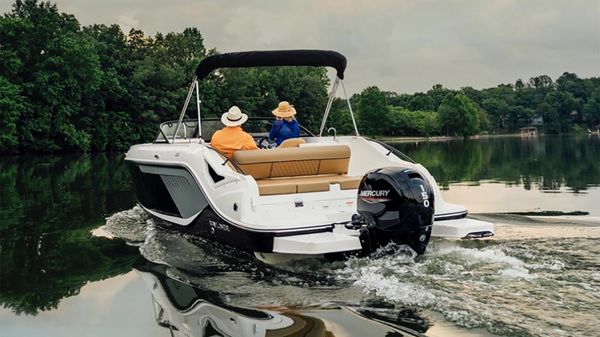 Bayliner D22 