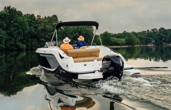 2025 Bayliner D22