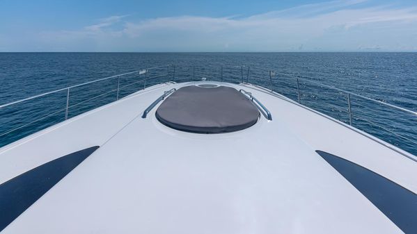 Custom 650 Catamaran image