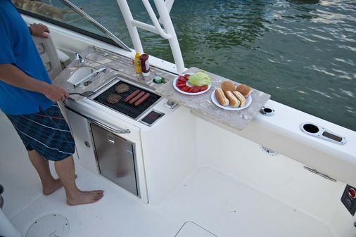 Boston-whaler 270-VANTAGE image
