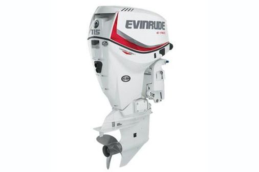 Evinrude E-tec 115 Pontoon Series image