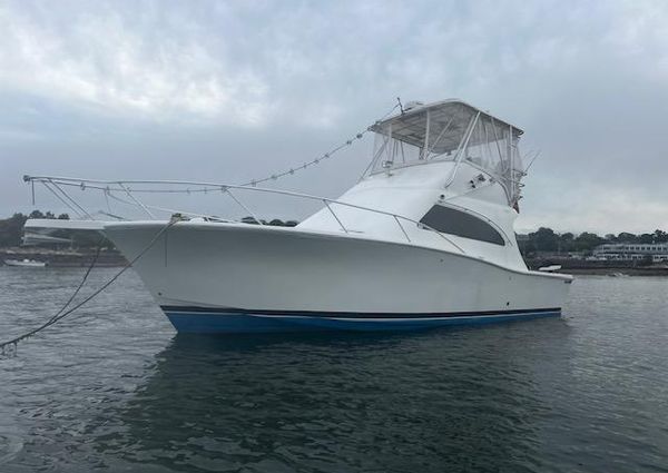 Luhrs 36-CONVERTIBLE image