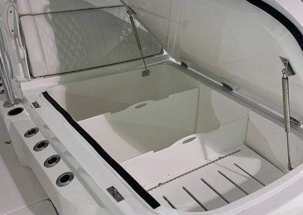 Invincible 39-CENTER-CONSOLE image