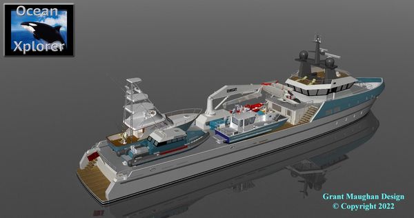 Swiftships 185 Fast Support/Xplorer image