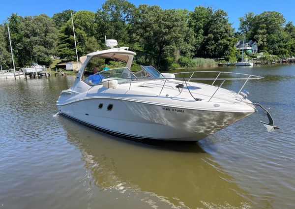 Sea Ray 310 Sundancer image