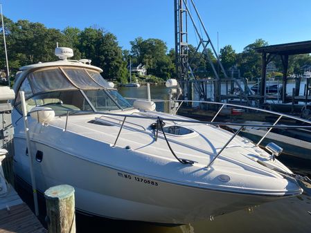 Sea Ray 310 Sundancer image