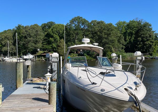 Sea Ray 310 Sundancer image