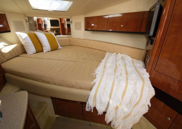 Sea Ray 310 Sundancer image