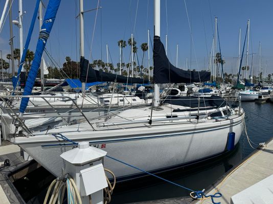 Catalina SLOOP - main image