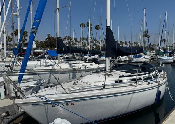 Catalina SLOOP image