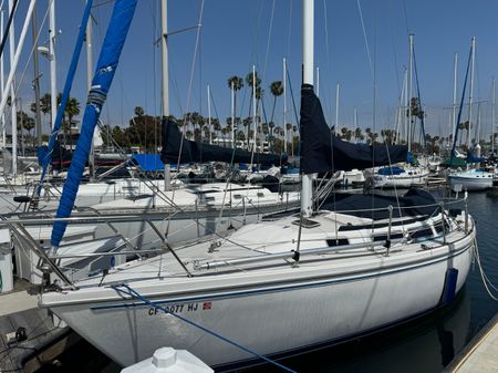 Catalina SLOOP image