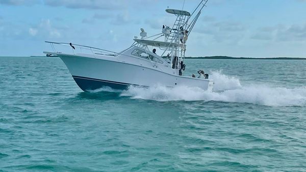 Luhrs 30 Open