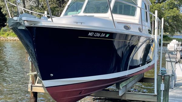 Back Cove 30