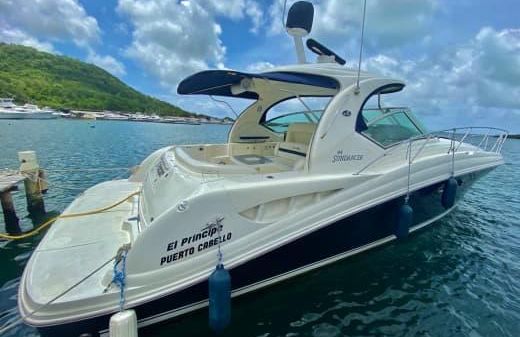 Sea Ray 44 Sundancer 