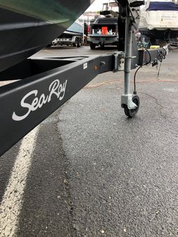 Sea Ray SPX 210 image