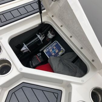 Sea Ray SPX 210 image