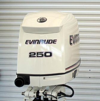 Evinrude 250hp 30