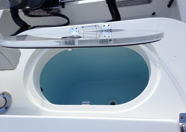 Cobia 277 Center Console image