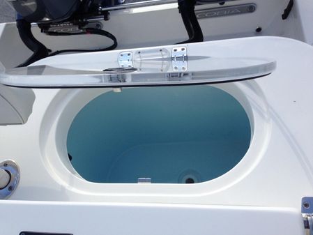 Cobia 277 Center Console image