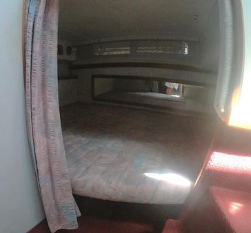 Sea-ray 270-DA image