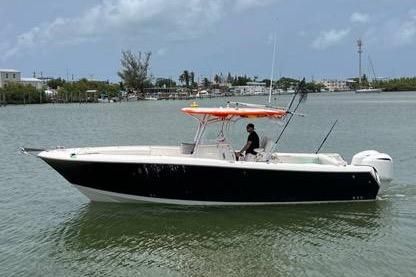 Sailfish 3180 CC