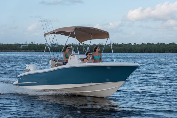 Pioneer 202 Islander - main image