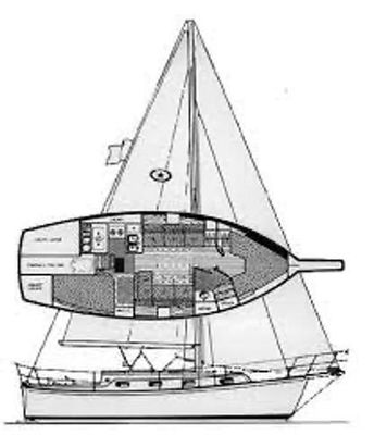 Island-packet 31 - main image