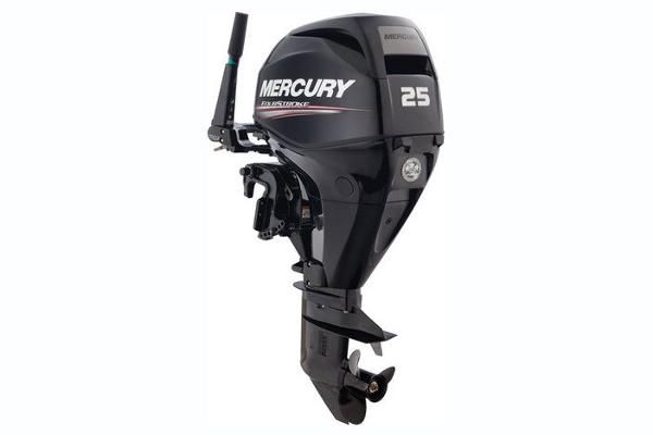 Mercury Fourstroke 25 hp EFI image