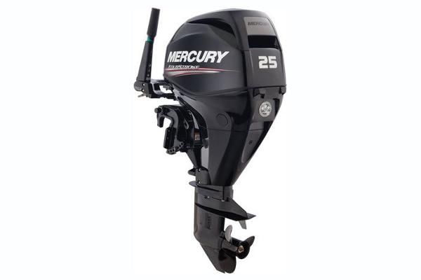 Mercury Fourstroke 25 hp EFI - main image