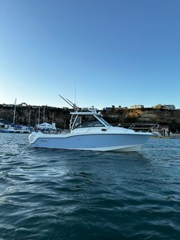 Boston-whaler 285-CONQUEST image