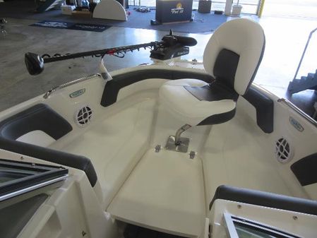 Chaparral 21-SSI-SKI-FISH image