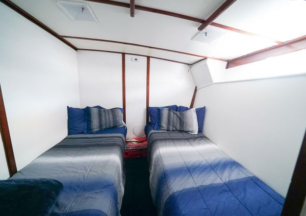 Trojan 45 Convertible image