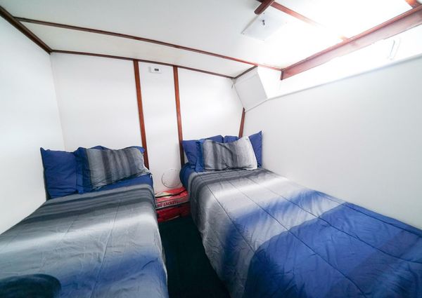 Trojan 45 Convertible image