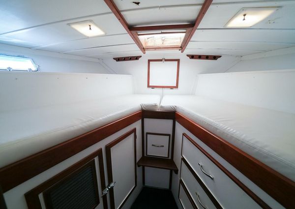 Trojan 45 Convertible image